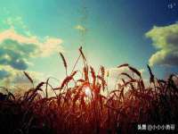 镇江恒桉建材商贸有限公司