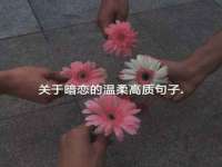镇江恒桉建材商贸有限公司