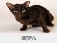 镇江恒桉建材商贸有限公司