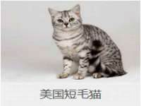 镇江恒桉建材商贸有限公司