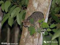 镇江恒桉建材商贸有限公司