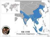 镇江恒桉建材商贸有限公司