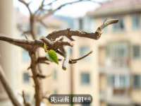 镇江恒桉建材商贸有限公司