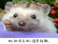 镇江恒桉建材商贸有限公司
