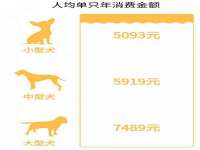 镇江恒桉建材商贸有限公司