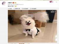 镇江恒桉建材商贸有限公司