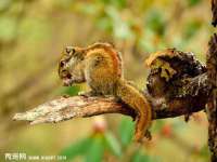 镇江恒桉建材商贸有限公司