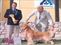 镇江恒桉建材商贸有限公司